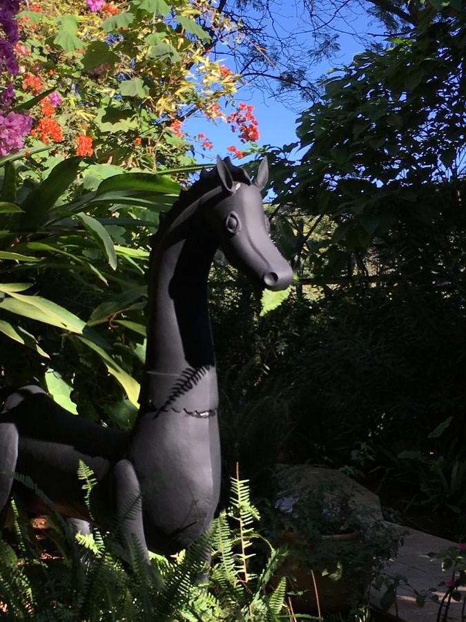 La Villa Mandarine Rabat Eksteriør billede